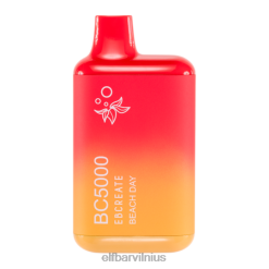 Elf Bar Lietuva - ELFBAR BC5000 vienkartiniai garai paplūdimio diena 6VDNX212