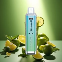 Hayati Pro Max 4000 Puffs Disposable Vape Šviežios Mėtų Mojito, 2ml/10ml, 1400mAh