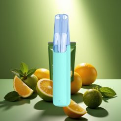 Snowplus Dash 4000 Puffs Disposable įrenginys Mentolis Plus, 7.5 ml, 530 mAh