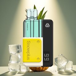 Snowplus Swift 5000 Puffs Prefilled Pod Kit Ananasų Ledas, 1000 mAh, 2+10 ml