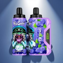 VapSolo VIKING 12000 Puffs Disposable Vape Mėlynių Uogų, 22ml, 20/50 mg/ml, Type-C