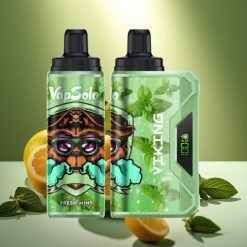 VapSolo VIKING 12000 Puffs Disposable Vape Šviežia Mėta, 22ml, 50 mg/ml